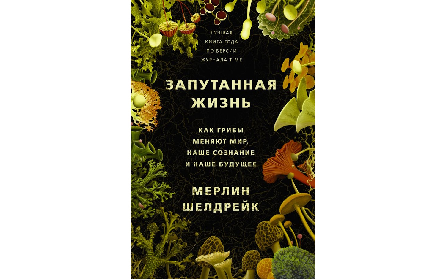 Запутанная жизнь. Как грибы меняют мир, наше сознание и наше будущее