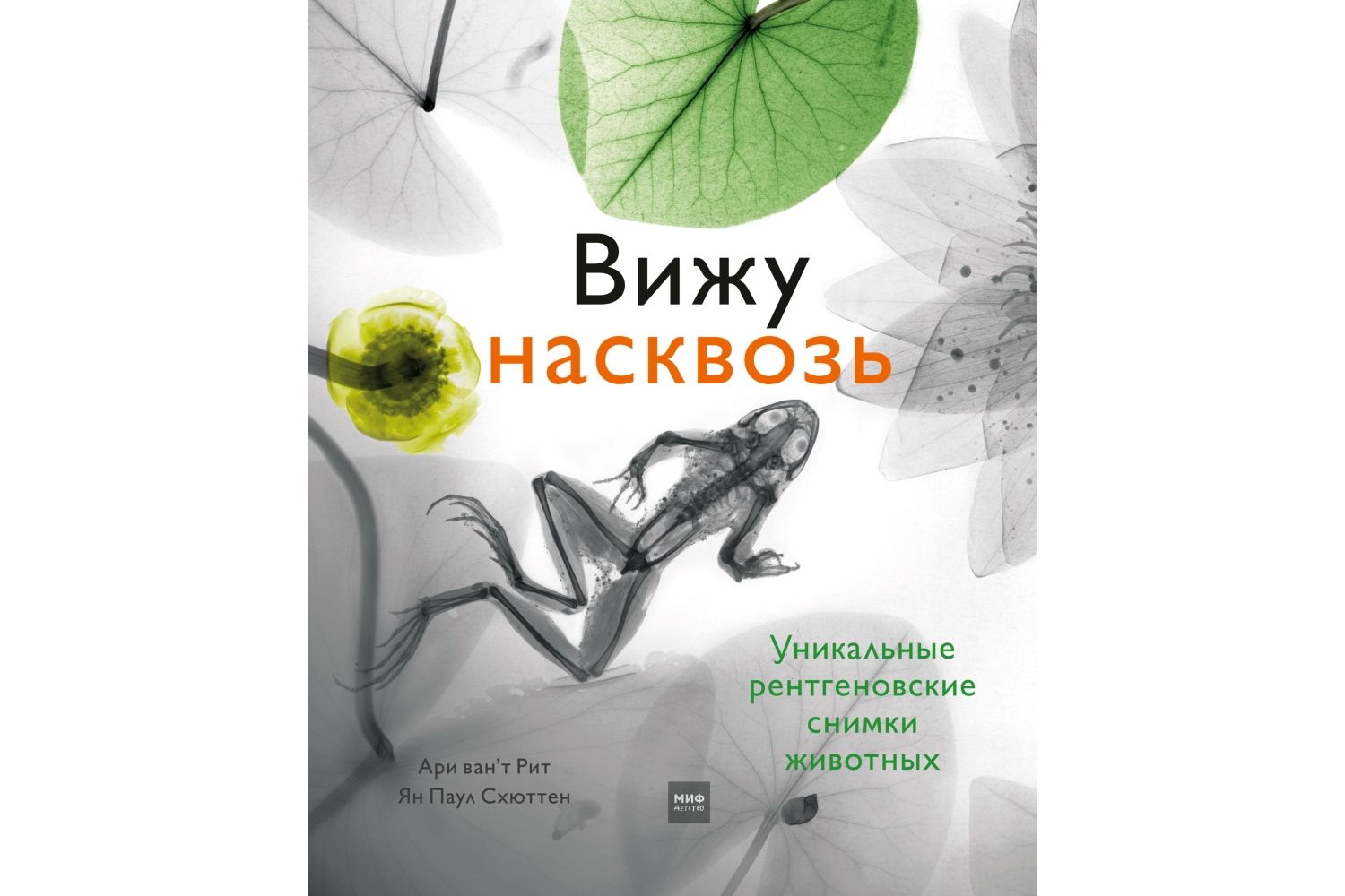 Вижу насквозь. Удивительные рентгеновские снимки животных